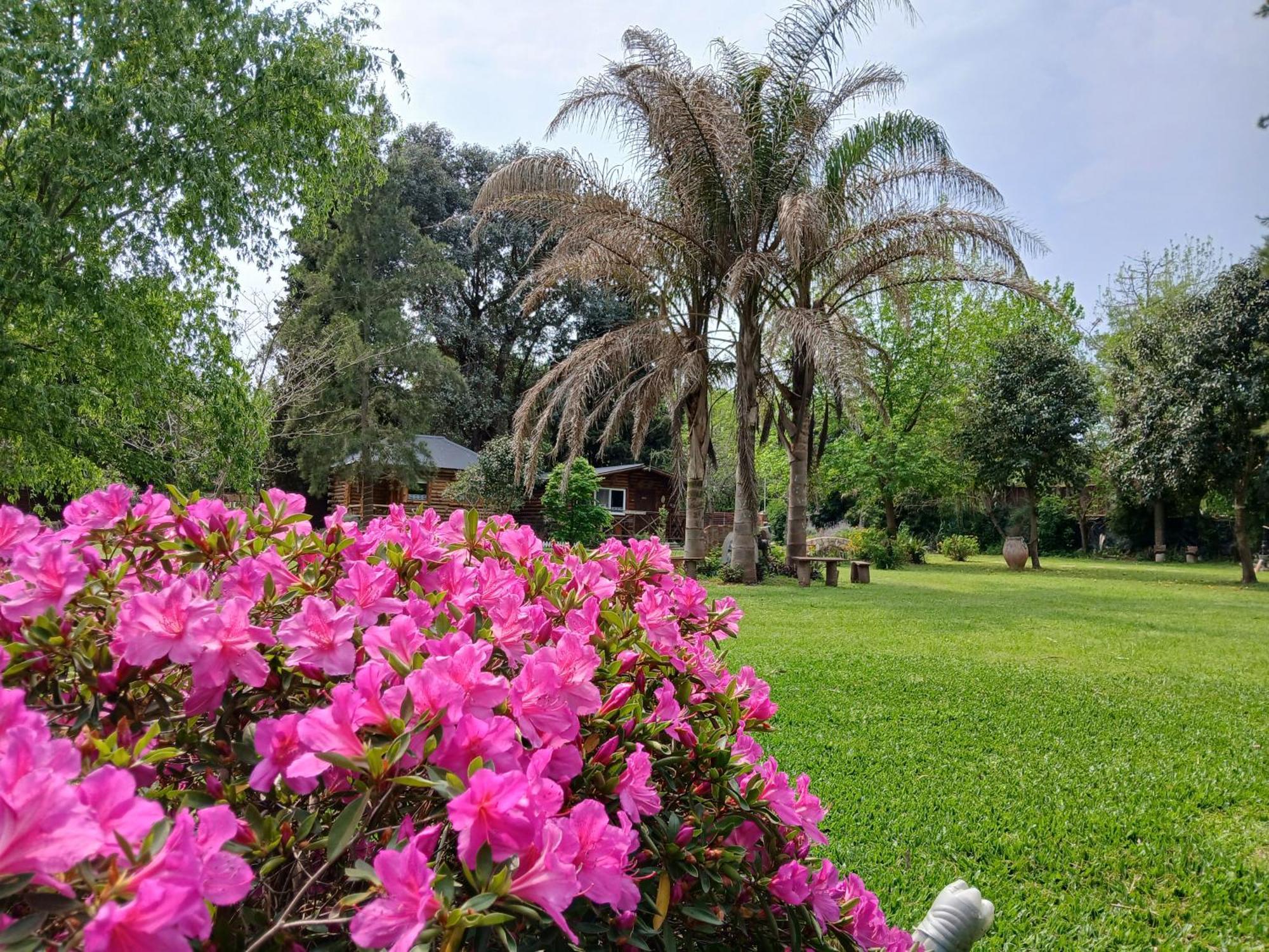 Pualy Resort & Spa Belén de Escobar Exterior photo